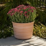 塑膠花盆 3件組 橘色