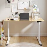 Flexispot 電動升降桌