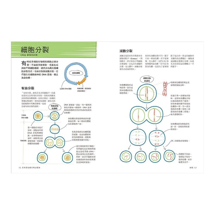 真希望基礎生物這樣教 + 真希望基礎人體這樣教 暢銷修訂版 (共二冊)