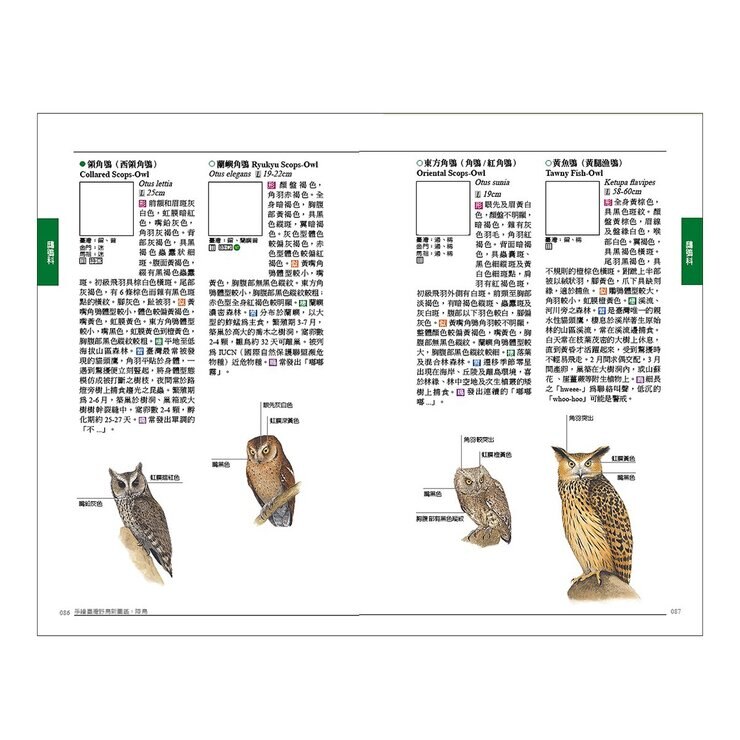 手繪臺灣野鳥新圖鑑（共２冊）：水鳥＋陸鳥