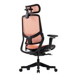 ERGOKING S5 人體工學椅 黑框橘網