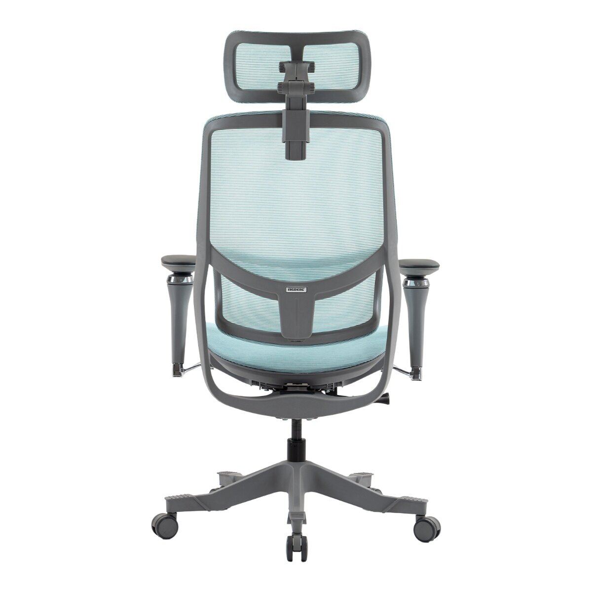 ERGOKING S5 人體工學椅 灰框藍網