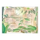 經典科普自然大書:蟲蟲大書+野獸大書+海洋大書