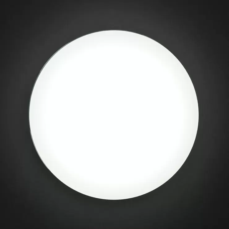 IRIS OHYAMA LED 小型吸頂燈白光 2入