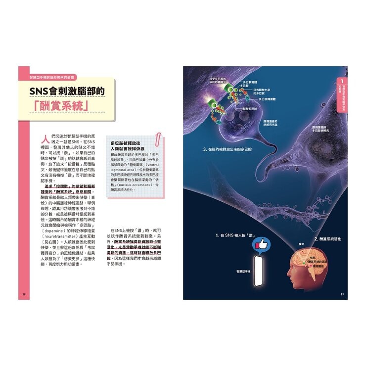 手機腦與運動腦 + 人體 (2冊)