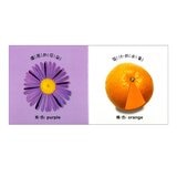 Dorling Kindersley 寶寶觸覺認知書套組（共７冊）