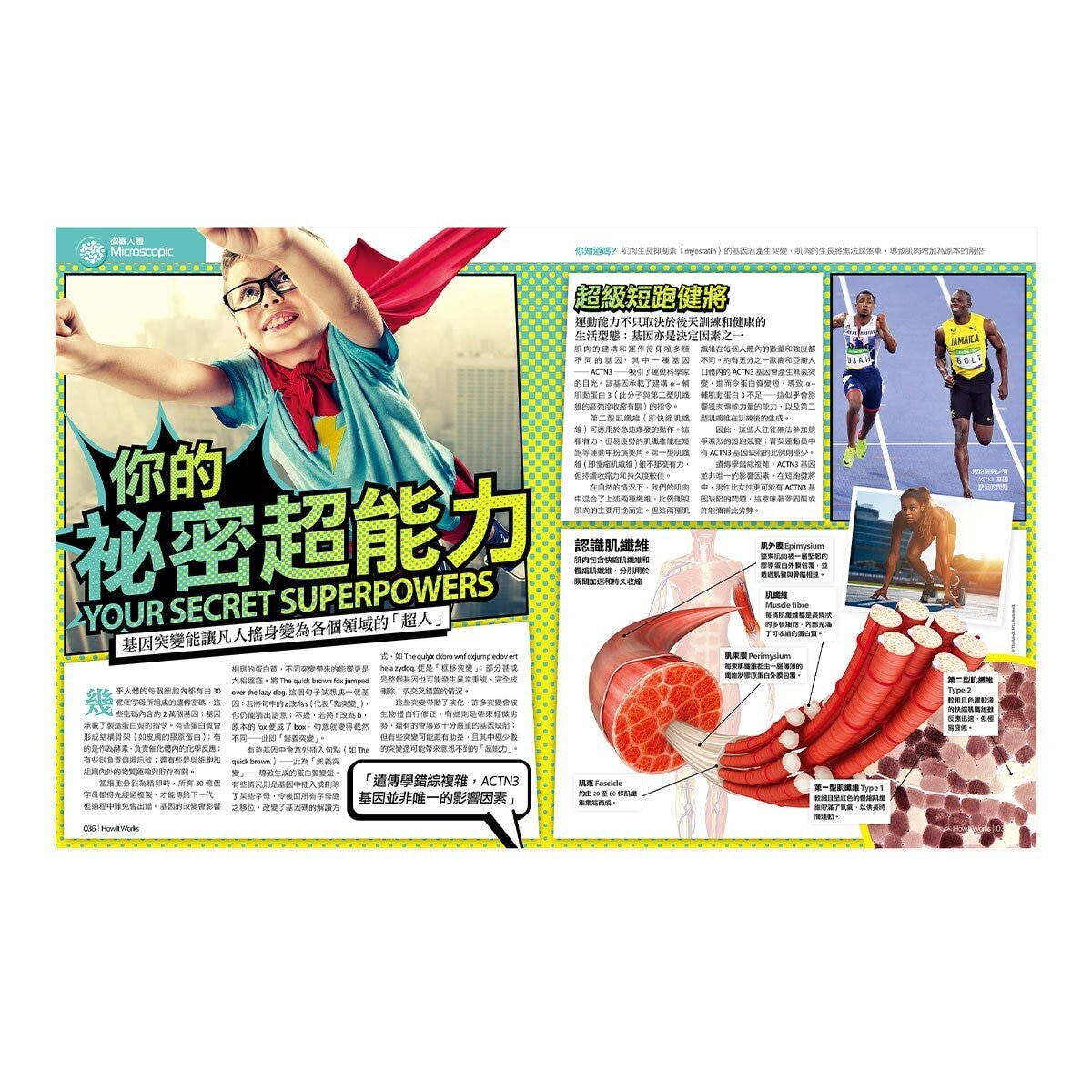 How It Works知識大圖解 國際中文版年度特刊：人體的奧祕 + How It Works知識大圖解 奇妙大自然大圖解(全新增修版)【純書版】2書合售