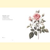 黃湘玲系列套書 植物情人＋蘭花絮語