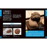 古生物大圖鑑：伽利略科學大圖鑑15