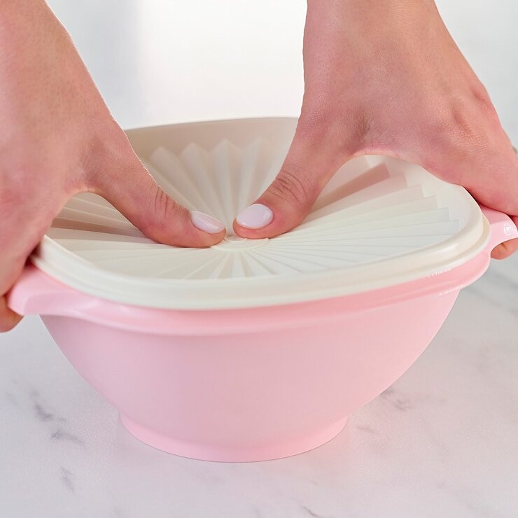 Tupperware 塑膠保鮮盒含蓋 12件組