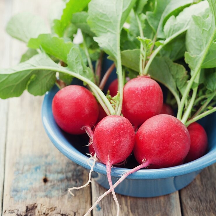 玉美 有機櫻桃蘿蔔 500公克