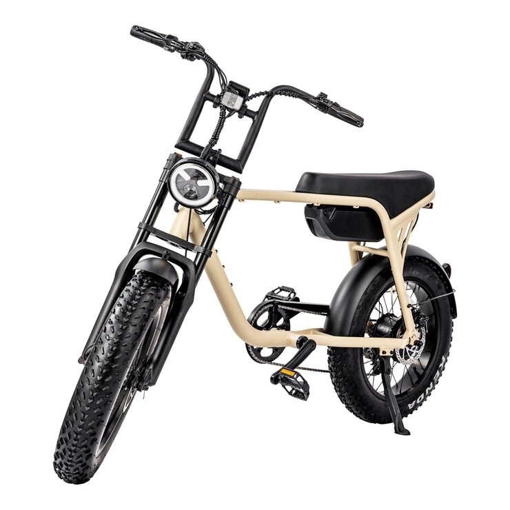 ZAU EB-500 電輔車