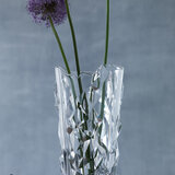 Nachtmann Sculpture 水晶玻璃花瓶