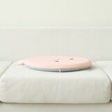 Dorothy & Theo 涼感坐墊 2入組 章魚 + 海狗 Dorothy & Theo 涼感坐墊 2入組 章魚 + 海狗