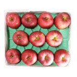 日本大紅榮蘋果 10公斤 (22-24入)