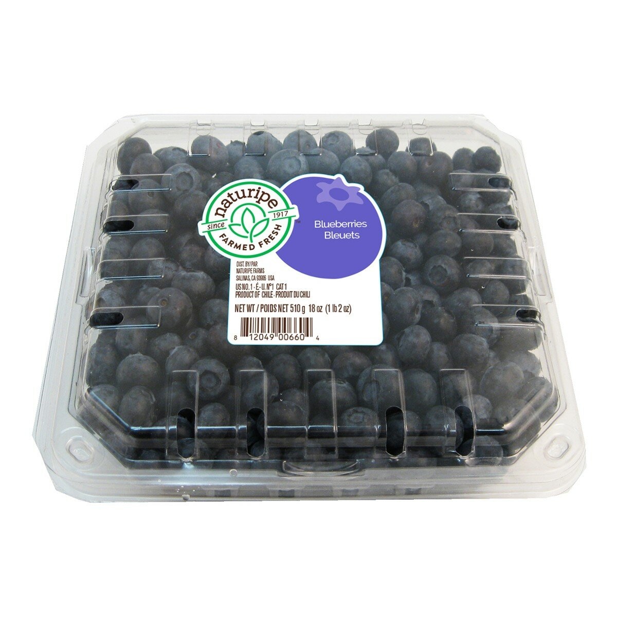空運智利藍莓 510公克 空運智利藍莓 510公克