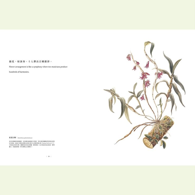 黃湘玲系列套書 植物情人＋蘭花絮語