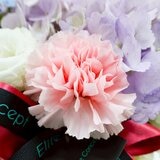一禮莊園 花漾甜馨鮮花盆花禮
