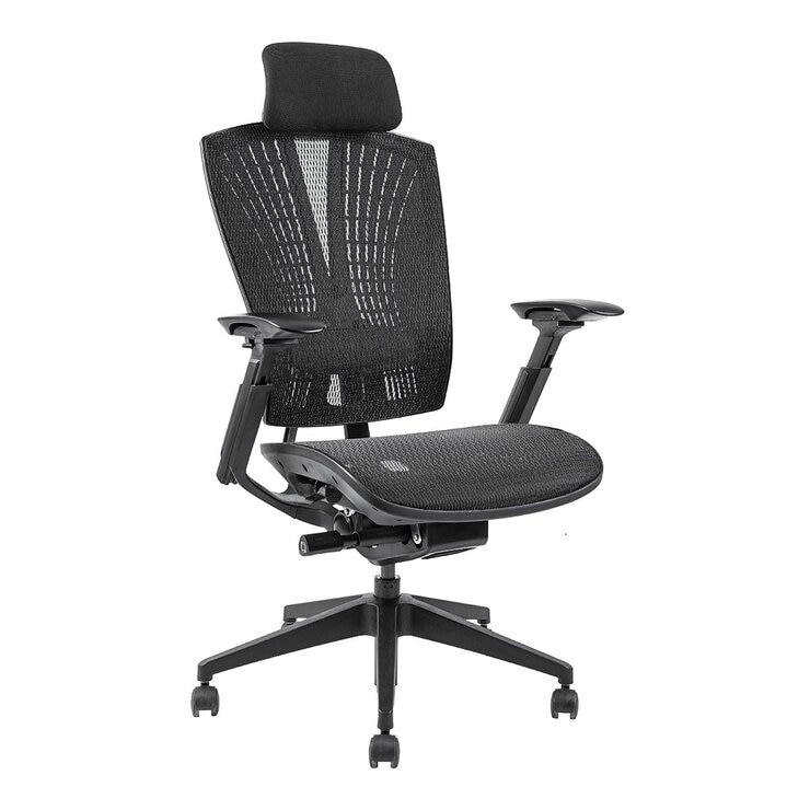 Backbone Whale 抹香鯨座人體工學旗艦椅 海洋友善款