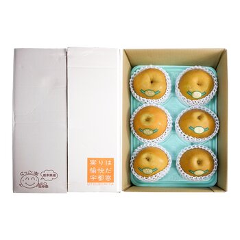 日本栃木縣日光梨 5公斤