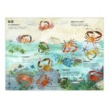 經典科普自然大書:蟲蟲大書+野獸大書+海洋大書