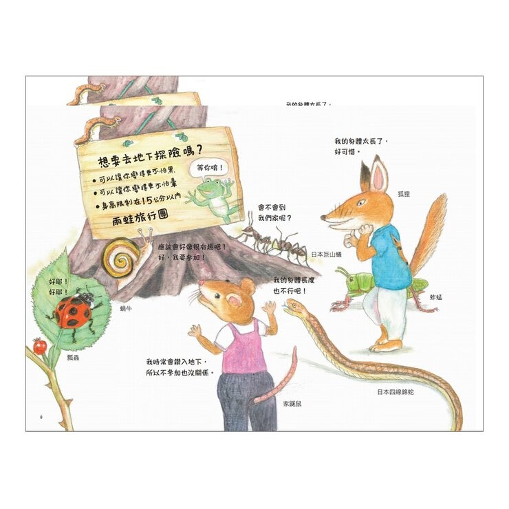 松岡達英雨蛙生態旅行團（共３冊）：池塘＋空中＋地下