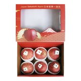 日本世界一蘋果禮盒 3公斤