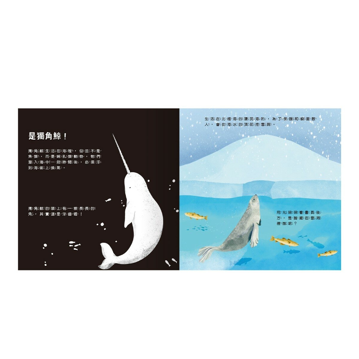 登登登！透光 Show系列(共6冊):點亮夜晚世界！+創造神奇發明！+動物的偽裝術！+神秘恐龍來囉！+照照人體 x 光+海洋生物來囉！