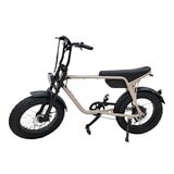 ZAU EB-500 電輔車