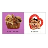 Dorling Kindersley 寶寶觸覺認知書套組（共７冊）