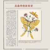 蟲之道：昆蟲的構造、行為和習性訴說的生命史詩
