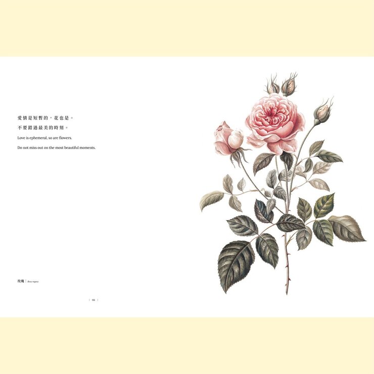 黃湘玲系列套書 植物情人＋蘭花絮語