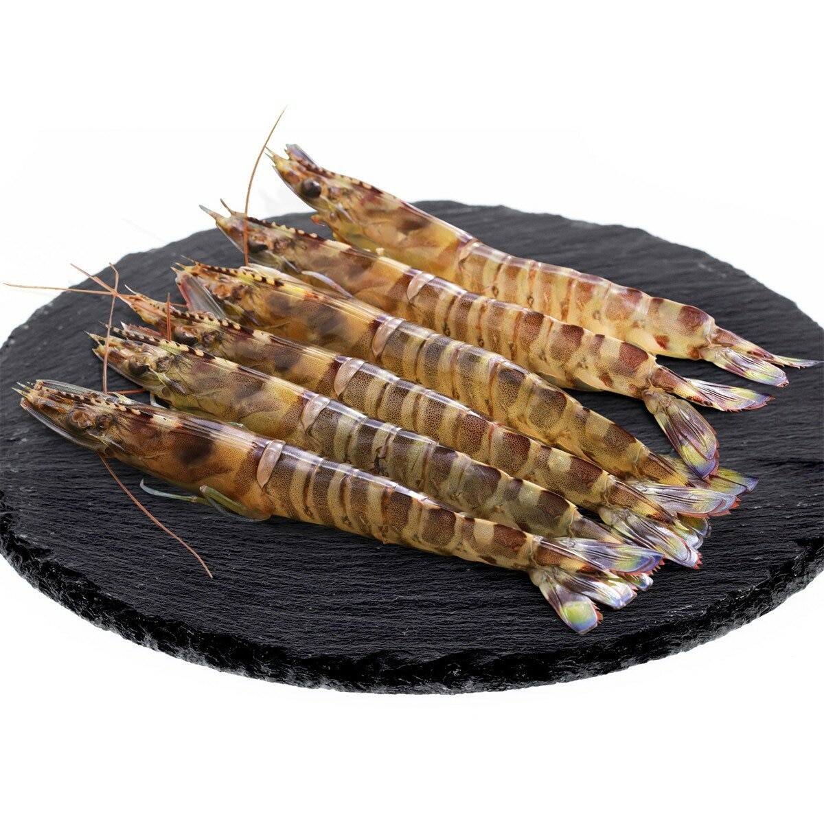 冷凍 明蝦 1公斤