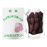 空運日本山形縣小無子葡萄禮盒 2公斤