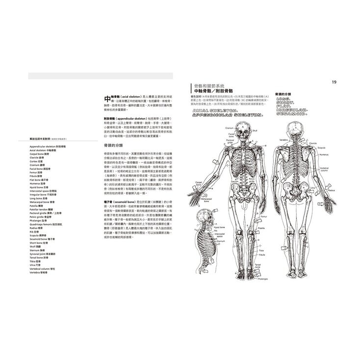 人體解剖著色學習手冊 + 12色彩色鉛筆 ：邊看邊畫邊學，為知識上色，更有趣、更輕鬆、更好記
