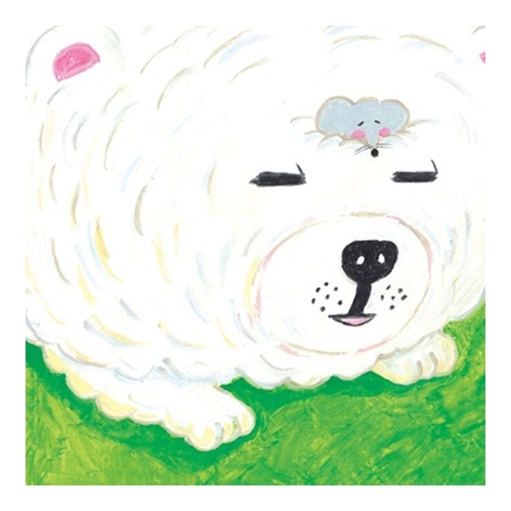 柴田啓子療癒系動物套書 (３冊)：甜甜圈店的企鵝先生＋原來的你最棒了＋善良的博美犬