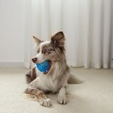 Gigwi 海洋風寵物狗玩具 4入組