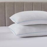 Downlite 涼感舒眠枕 2入 51公分 X 71公分