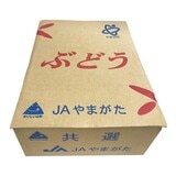 空運日本山形縣小無子葡萄禮盒 2公斤