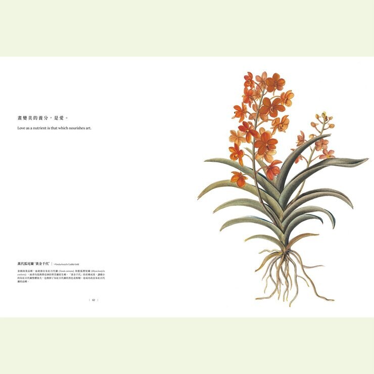 黃湘玲系列套書 植物情人＋蘭花絮語