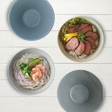 Minoyaki 日本製美濃燒輕量麵碗 4件組
