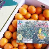 日本鹿兒島金柑禮盒 2公斤