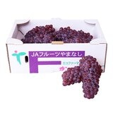空運日本山梨縣小無籽葡萄禮盒 2公斤