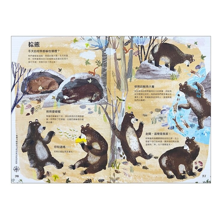 經典科普自然大書:蟲蟲大書+野獸大書+海洋大書