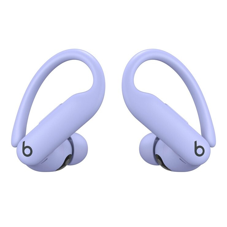 Beats Powerbeats Pro 2 高機能入耳式耳機 躍動紫