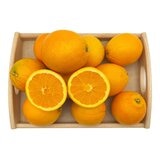 美國甜橙 5公斤/19-22入