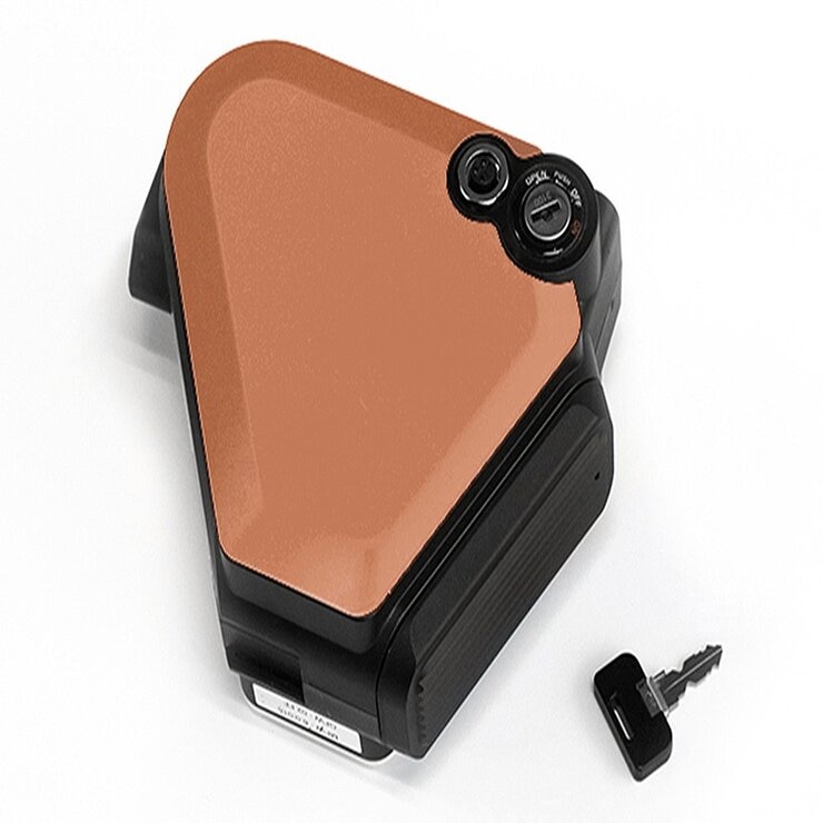 BESV 折疊電動輔助自行車 PSF1 金色