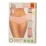 Jezebel 女有機棉內褲 5入組 XXL 淺棕+淺橘+淺灰+粉+紫