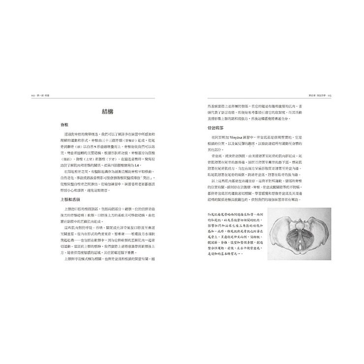 瑜伽與動禪: Vinyasa的流動藝術