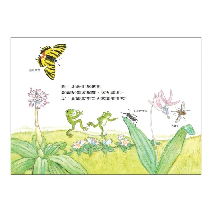 松岡達英雨蛙生態旅行團（共３冊）：池塘＋空中＋地下